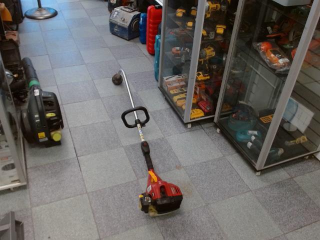 Weed eater a gaz