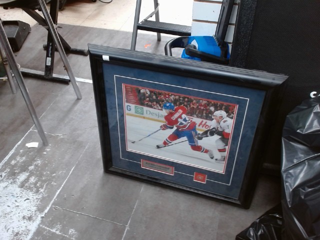Mike cammalleri cadre canadien