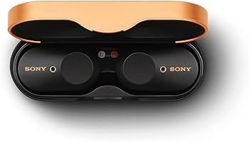 Wireless bluetooth earbuds