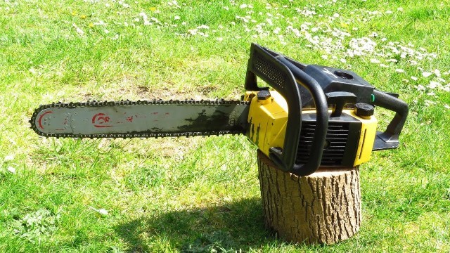 Chainsaw avec cover jaumne