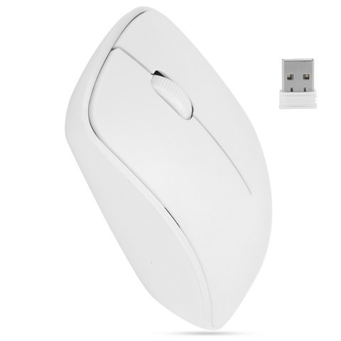 Souris blanche