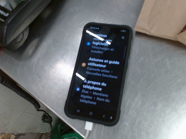 Samsung galaxy s24 dans case