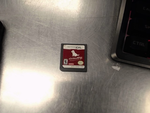Nintendogs dachshund