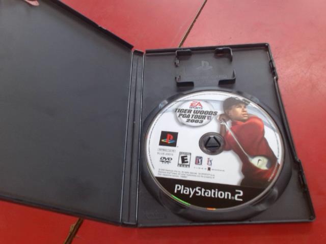 Tiger woods pga tour 2003