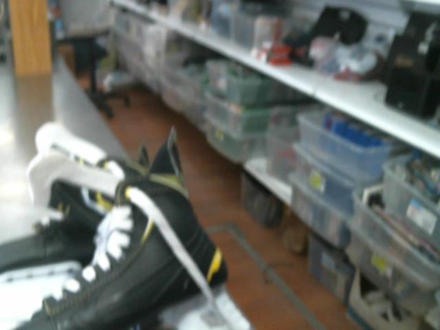 Patin 11 us