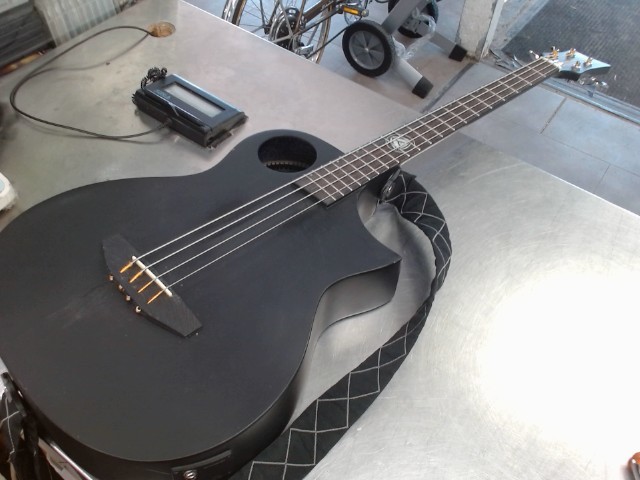 Acoustic bass lindo neptune dans case