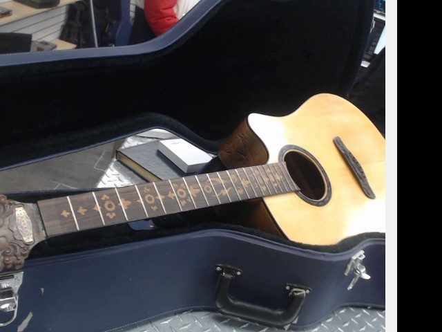 Guitare blueberry handmade tiger behind