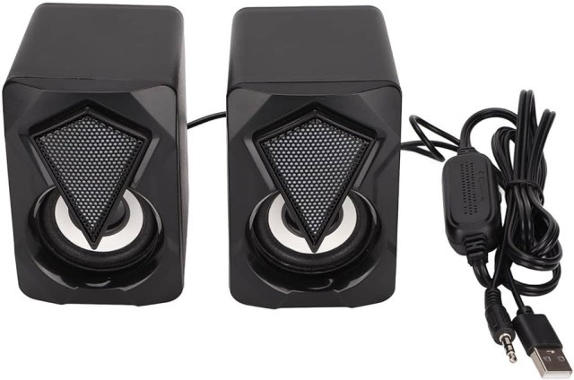 Speaker