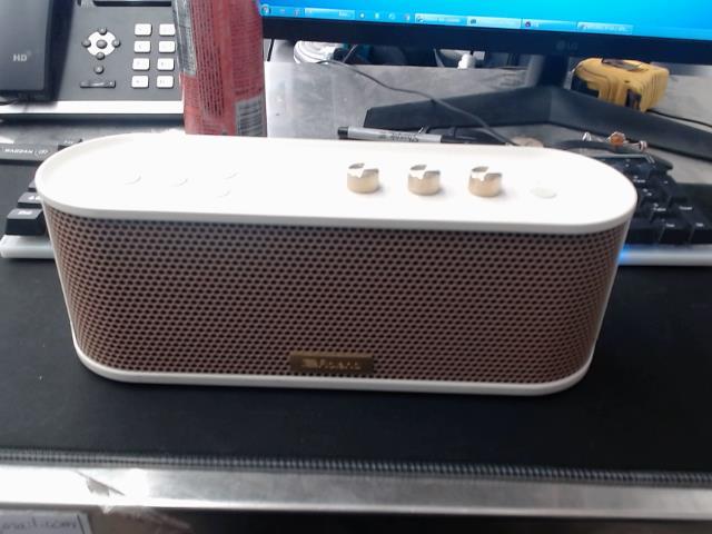 Speaker portable pour guitare
