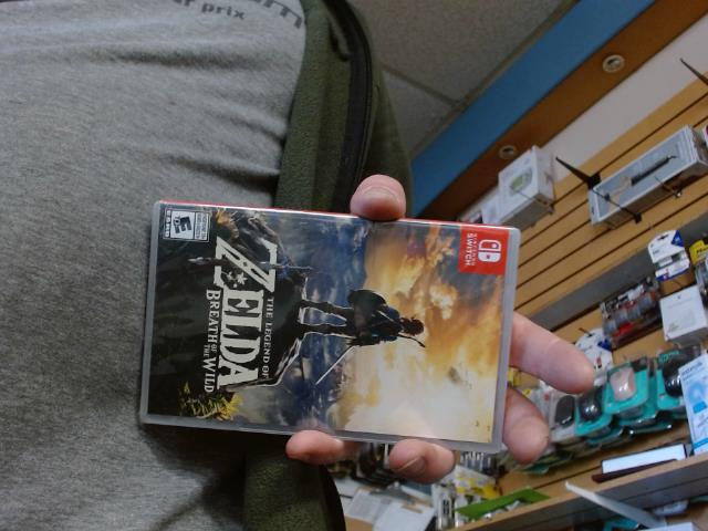 Zelda botw