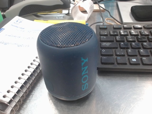 Sony speaker