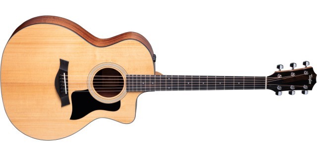 Taylor 100 series guitar with case