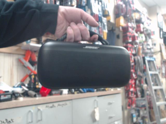 Speaker bose flex max