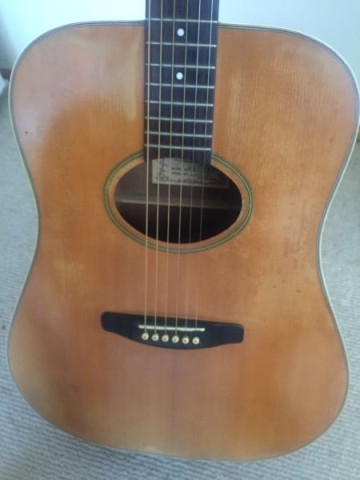 Guitare acoustique vantage va 10 dk