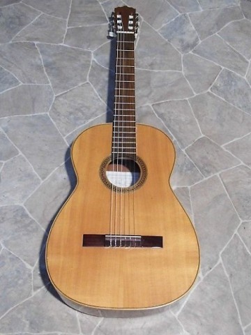 Guitare acoustique