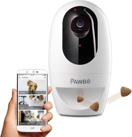 Camera interactive sans fil pour animaux