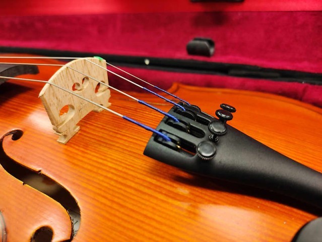 Violon carlton