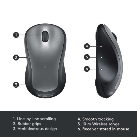Souris sous boite