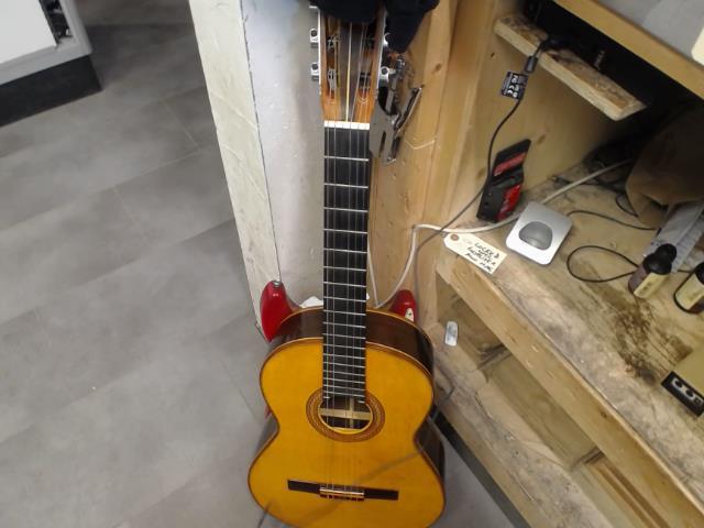 Guitar acoustic