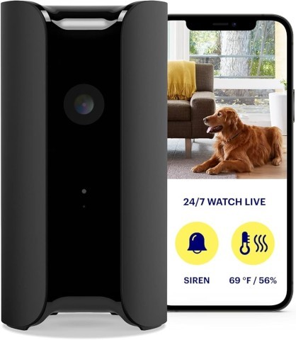 Smart home security