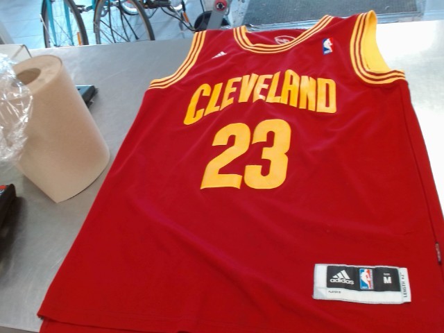 Lebron james cleveland jersey