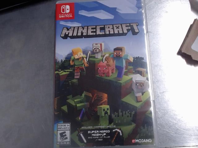 Minecraft switch