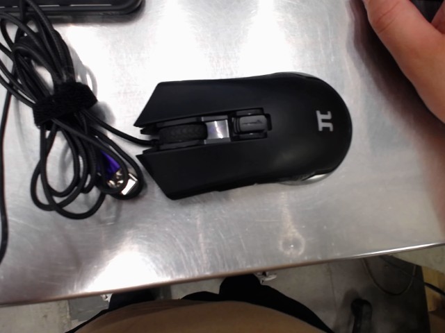 Souris primus
