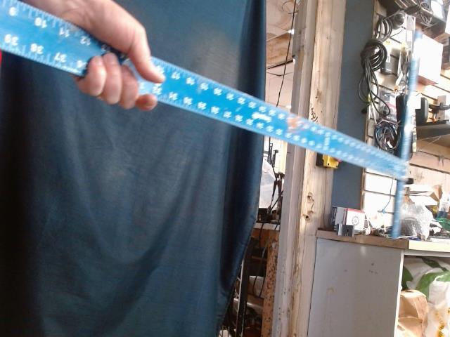 Equere a gyps bleu