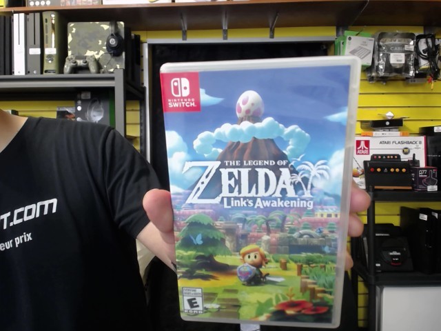 The legend of link's awakening