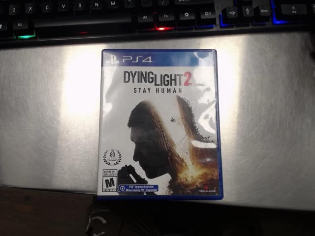 Dyinglight 2