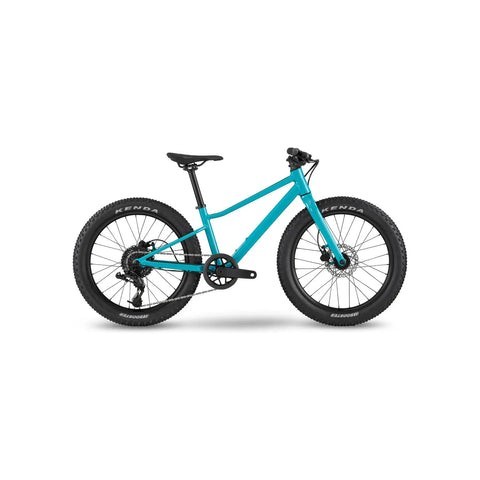 Velo montagne 24