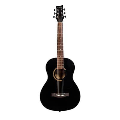 Guitare acoustique noir manque 2 corde
