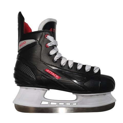 Patin a glace