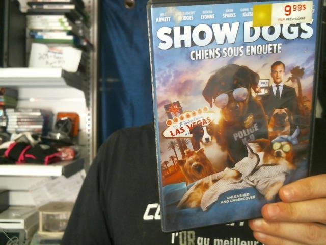 Chiens sous enquete