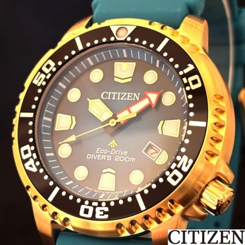 Montre citizen promaster diver
