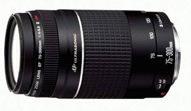 75-300mm canon