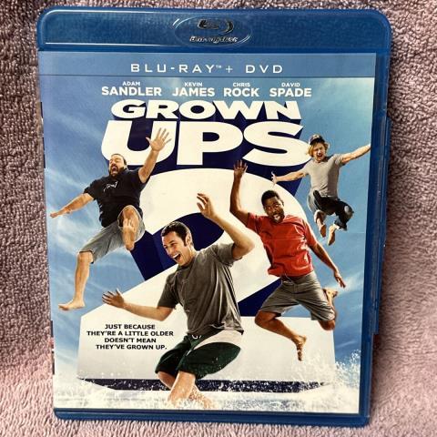 Grown ups 2