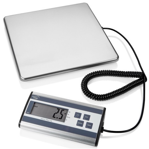 Balance smart weight ace200