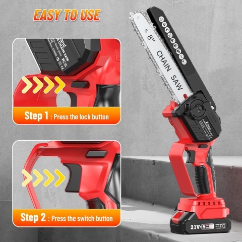 Petite chainsaw+chrg+2 batt en case