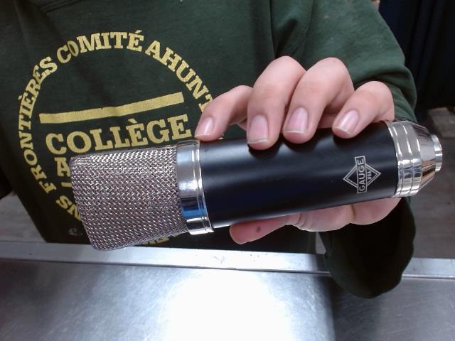 Mic cardioide noir+wire