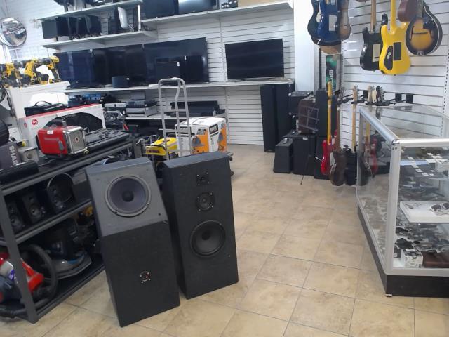 Paire speaker homemade