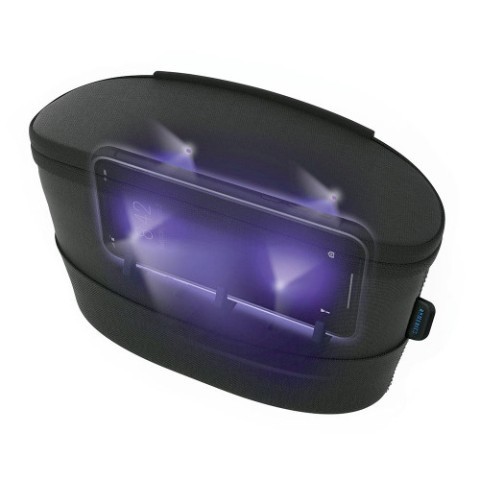 Portable sanitizer bag