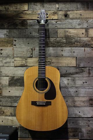 Guitar seagull dans etuit moue