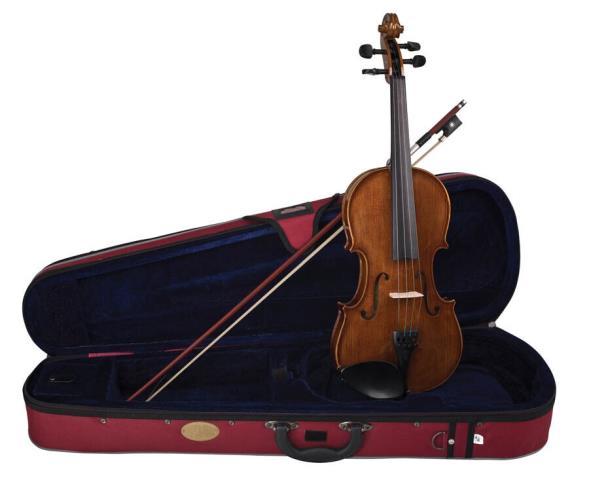 Violon avec case
