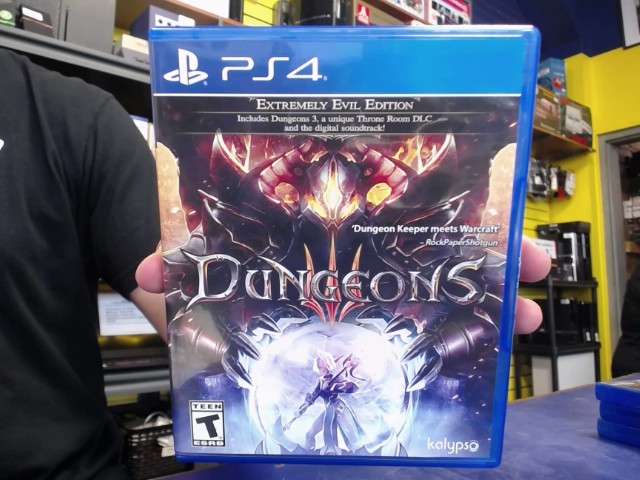 Dungeons iii