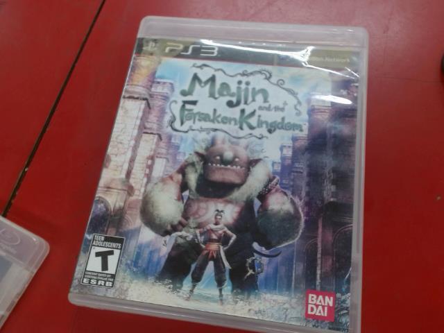 Majin and the forsaken kingdom