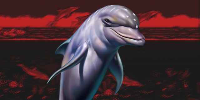 Ecco the dolphin