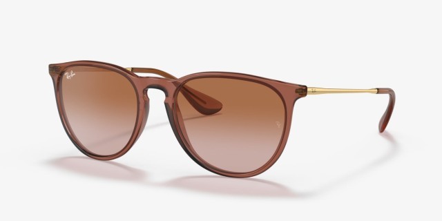 Rayban erika brown round sunglasses