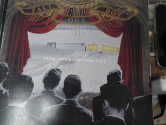 Vinyl from under the cork tree