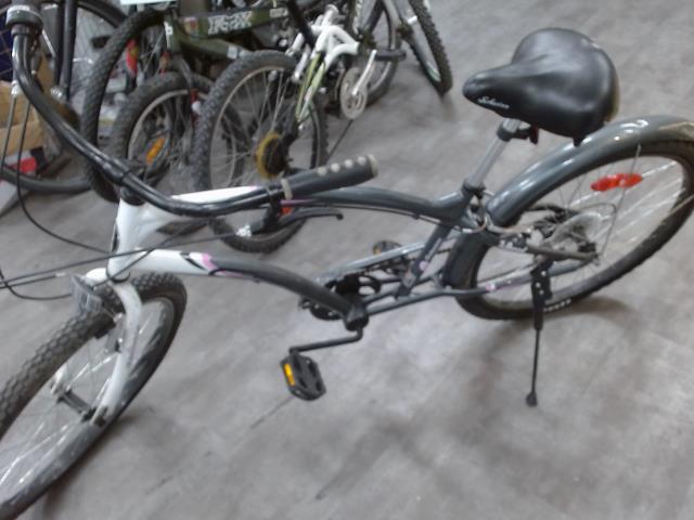Velo cruiser special edition cancerrun07
